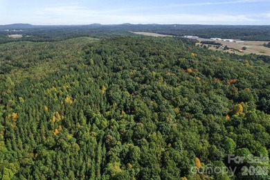 Discover a rare opportunity with this expansive 80+/- acre - photo 25