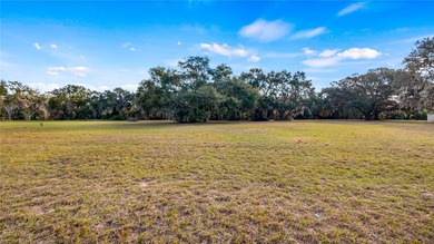 PRICED TO SELL!! ATTENTION BUILDERS and HOMEOWNERS! Beautiful - photo 54