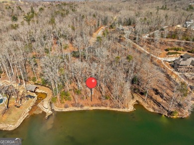 Lake Acreage For Sale in Cleveland, Georgia