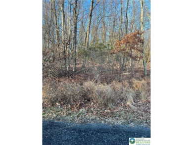 Lake Lot For Sale in Penn Forest, Pennsylvania