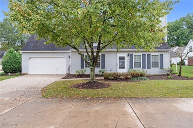 (private lake, pond, creek) Condo Sale Pending in Northfield Ohio