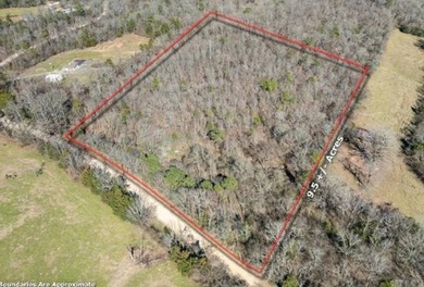 DeQueen Lake Acreage For Sale in Gillham Arkansas