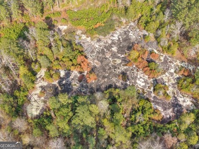 Escape to your own private paradise on this stunning 136-acre - photo 43