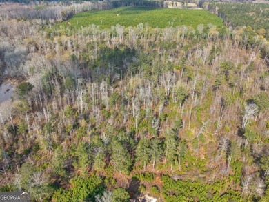 Escape to your own private paradise on this stunning 136-acre - photo 44