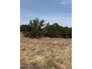 Lake Lot For Sale in Show Low, Arizona