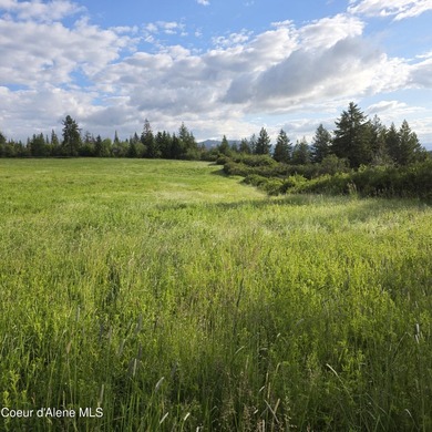 This exceptional 20-acre partially treed parcel on Harrison - photo 12