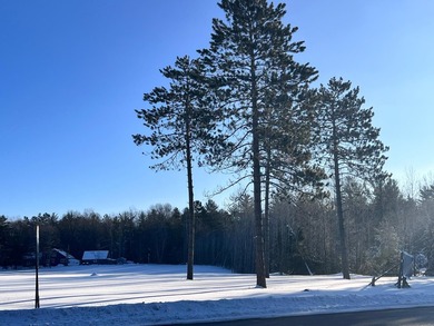 This rare 4.8-acre vacant parcel offers a PREMIER development - photo 14