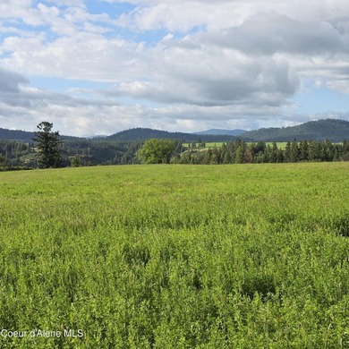 This exceptional 20-acre partially treed parcel on Harrison - photo 22