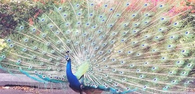 Discover an exceptional opportunity to own a rarely available