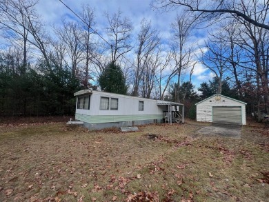 Lake Home For Sale in Houghton Lake, Michigan