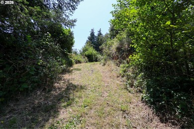 43-acre hilltop terraced lot offering beautiful views of the - photo 14