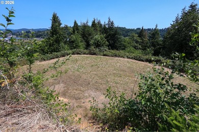 43-acre hilltop terraced lot offering beautiful views of the - photo 20