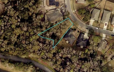 Beautiful wooded lot in Osprey Cove, perfect spot to build your - photo 1