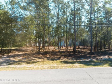 (private lake, pond, creek) Lot For Sale in Keystone Heights Florida