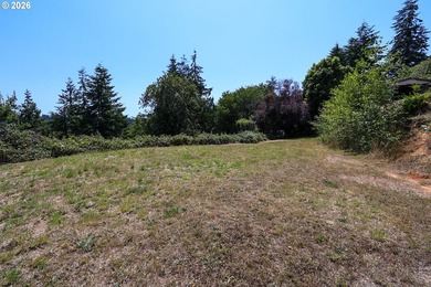 43-acre hilltop terraced lot offering beautiful views of the - photo 23