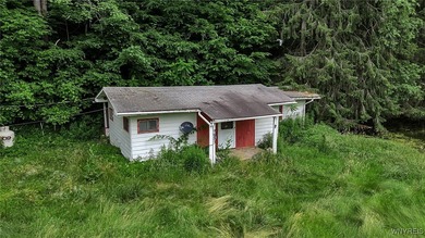 (private lake, pond, coastal) Home For Sale in Cohocton New York