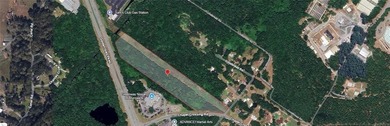 10 acres approx. fronting both Chapel Crossing & Spur 25/Golden - photo 4