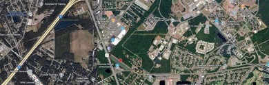 10 acres approx. fronting both Chapel Crossing & Spur 25/Golden - photo 6