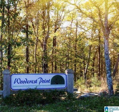 Don't miss this amazing opportunity to own 5.02+/- acres in - photo 1