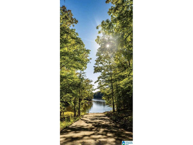 Don't miss this amazing opportunity to own 5.02+/- acres in - photo 3