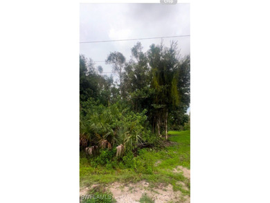 Lehigh Acres Area Lot For Sale in Lehigh Acres Florida