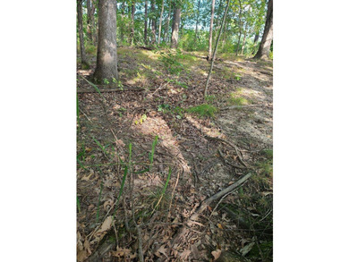 Dayton Lake Waterfront! Rare Three Acre parcel on private lake - photo 11