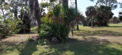 Burnt Store Lakes  Lot Sale Pending in Punta Gorda Florida