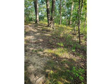 Dayton Lake Waterfront! Rare Three Acre parcel on private lake - photo 12