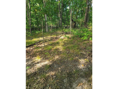 Dayton Lake Waterfront! Rare Three Acre parcel on private lake - photo 13