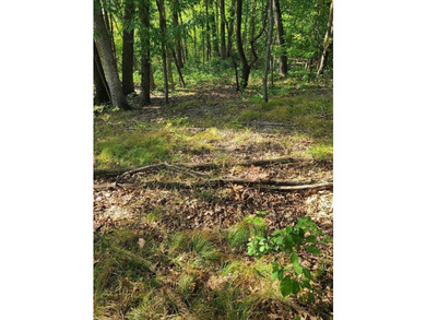 Dayton Lake Waterfront! Rare Three Acre parcel on private lake - photo 14