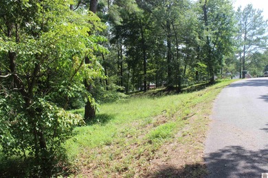 This 1.27 acre waterfront lot in Sassy Land Subdivision is a - photo 14