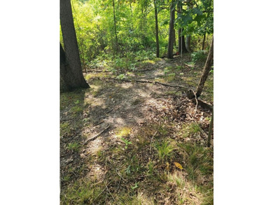 Dayton Lake Waterfront! Rare Three Acre parcel on private lake - photo 15