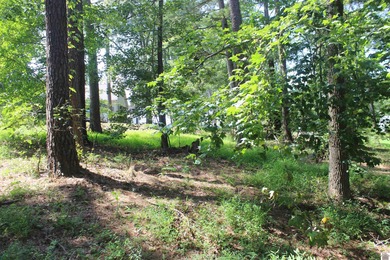 This 1.27 acre waterfront lot in Sassy Land Subdivision is a - photo 15