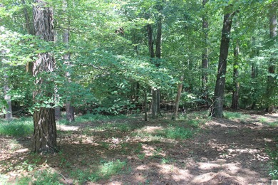 This 1.27 acre waterfront lot in Sassy Land Subdivision is a - photo 17