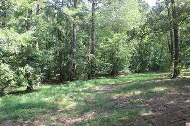 This 1.27 acre waterfront lot in Sassy Land Subdivision is a - photo 20