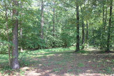 This 1.27 acre waterfront lot in Sassy Land Subdivision is a - photo 22