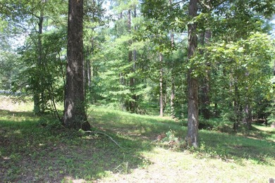This 1.27 acre waterfront lot in Sassy Land Subdivision is a - photo 23