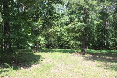 This 1.27 acre waterfront lot in Sassy Land Subdivision is a - photo 24