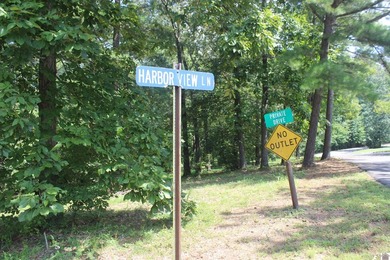 This 1.27 acre waterfront lot in Sassy Land Subdivision is a - photo 27