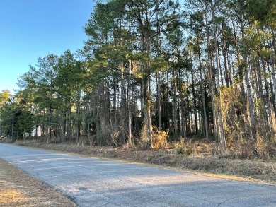 Lake Lot Off Market in Cordele, Georgia