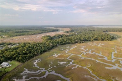 (private lake, pond, coastal) Acreage Active Under Contract in Woodbine Georgia