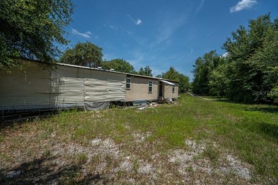 (private lake, pond, creek) Home For Sale in Umatilla Florida