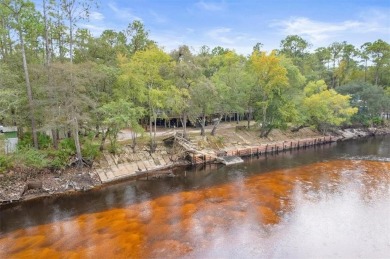 Lake Home For Sale in Hortense, Georgia
