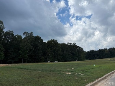 (private lake, pond, creek) Lot For Sale in Poplar Bluff Missouri