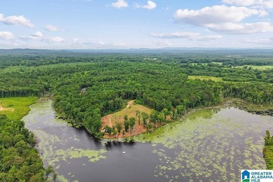 (private lake, pond, coastal) Acreage For Sale in Shelby Alabama