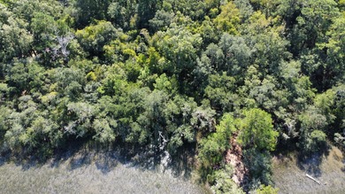 Great 8.39 acre property backing up to the marsh on Yonges - photo 22