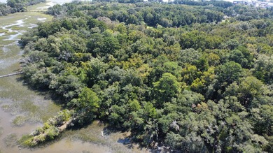 Great 8.39 acre property backing up to the marsh on Yonges - photo 31
