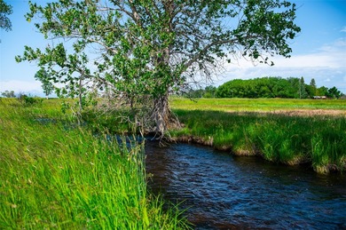 Lake Acreage For Sale in Roberts, Montana