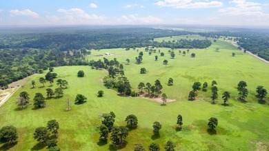 Positioned equidistant from Quitman, Winnsboro, and Gilmer, this - photo 2