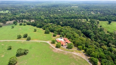 Positioned equidistant from Quitman, Winnsboro, and Gilmer, this - photo 3